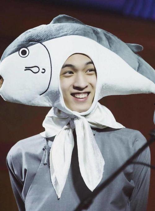 娱乐吃瓜酱秦霄贤不认字